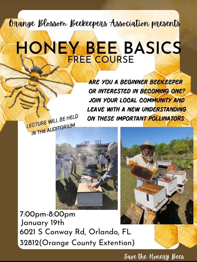 January 2023 Meeting Honey Bee Basics Orange Blossom Beekeepers